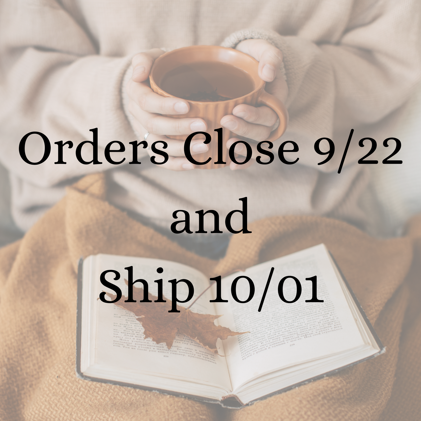 Falling For Fiction Book Box (pre order)